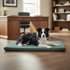 Nuzzlenest Orthopedic Dog Crate Pad - Waterproof Foam Liner - Mint Leaf